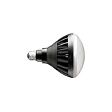 岩崎電気 LEDアイランプ18W電球色/本体黒タイプ 屋内外兼用 LDR18L-H/BK/730