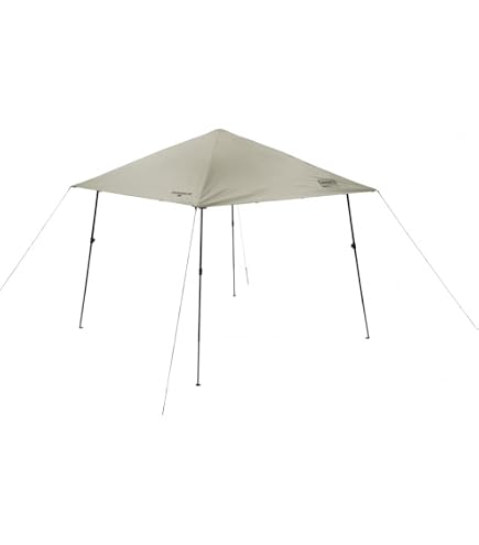 Amazon.co.jp: Coleman 2208931 Camping Tent Instant Visor Shade II