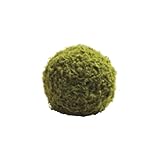 日本ビダヤコム HOMEDECO 10cmモスボール J0388 グリーン