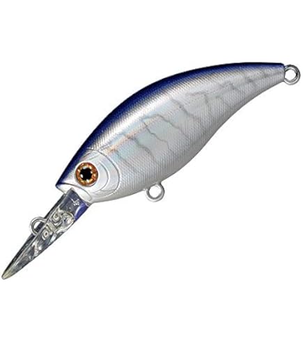 Amazon.co.jp: スミス(SMITH LTD) クランクベイト ディプシードゥ 1