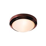 Access Lighting 20355MG-BRZ/FST Oceanus 10.5-inch Wet Location Ceiling/Wall Fixture, Bronze Finish a