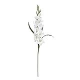 Nearly Natural Home Indoor Decorative Tabletop Fancy 36" Gladiola Stem Set of 12 White