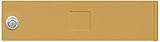 Salsbury Industries 3751GLD Replacement Door and Lock Standard MB1 Size for 4C Horizontal Mailbox wi