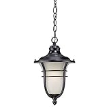Acclaim 3666BK Montclair Collection 1-Light Outdoor Light Fixture Hanging Lantern, Matte Black [並行輸入