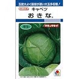 キャベツ 種 おきな 小袋（約1ml）