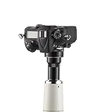 ニコン　一眼レフＤ画像システム　Ｄ７１００