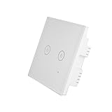 Auntwhale WIFIスマートウォールライトタッチスイッチ [タイマー設定] [リモコン付き] [音声コントロールとAmazon Alexa Googleホーム] [2オープンスイッチ]