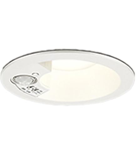 Amazon | パナソニック(Panasonic) 天井埋込型 LED 電球色 軒下用