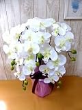 【造花】胡蝶蘭造花　触媒加工　アートフラワー　胡蝶蘭