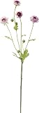 ポピー 造花 スイートラナンキュラス 全長56cm・花径2.5～4cm パープル スイートラナンキュラス全長56cm・花径2.5～4cmパープル 【2点】