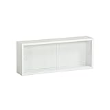 arne ウォールラック 壁掛け棚 本棚 シェルフ 飾り棚 収納 ガラス 引き戸 完成品 WallBoxE-M　glass ホワイト