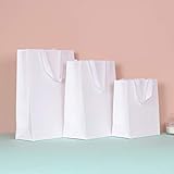 PAPERIST 12枚セット ホワイトクラフト ギフトバッグ 小さめサイズ 手提げバッグ シンプルバッグ