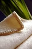 Fine Organic Wool Hemmed Blanket Toddler Throw (48" X 65") by Organic Caboose [並行輸入品]