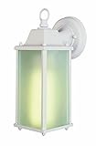 40455-PL VG 1-Light Outdoor Wall Lantern, Verde Green [並行輸入品]