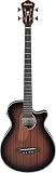 Ibanez アイバニーズ エレクトリック アコースティックベース 4弦ベース AEGB24E-MHS