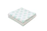 Jollein 540-849-64916 Flannel Nappy Owl Mint by Jollein