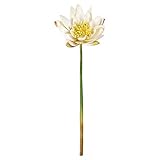 MAGIQ 東京堂 上質な造花  フレアウォーターリリー  クリーム FM008129-001