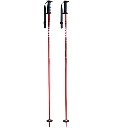 Amazon | KIZAKI キザキ スキー ポール ストック GSカーボン 2025