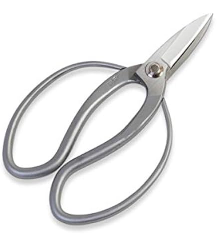 植木鋏（大久保）国治-鋏-黒染　６寸（ 約18cm ） 植木鋏（大久保）国治-鋏-黒染 6寸（ 約18cm ） - メルカリ