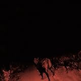 SHADOW ON EVERYTHING [LP] [Analog]