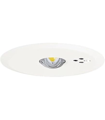 Amazon | パナソニック(Panasonic) 天井埋込型 LED 昼白色 非常用照明 