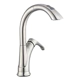 ペガサス65717 N-08104 Ginger single-handleプルダウンスプレーキッチン蛇口付きin Brushedニッケル