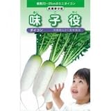 大根 種 味子役 1dl缶