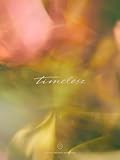 【メーカー特典あり】timelesz(Limited Edition（初回限定盤）)(特典:A5サイズクリアファイル(絵柄B)付)