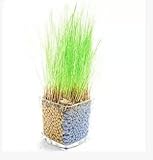 Mini cute Potted Plants Fine container plant cultivation Anion planting carbon ceramic Heart-shaped 