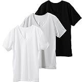 [白鷺ニット] 3枚組 爆速乾 メッシュ 半袖 Vネック V首 シャツ メンズ 春夏 吸汗速乾 L0901C-E (L, 3色アソート)