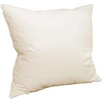 Amazon.co.jp: ヌードクッション フェザー45cm×45cm（羽根 クッション