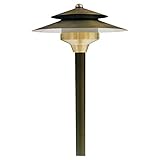 Sea Gull Lighting 91192-147 Meridian Saturn Area Light, Weathered Brass Finish [並行輸入品]