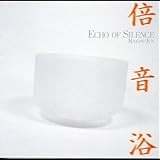 �{�����`Echo Of Silence�`
