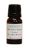 ウィンターグリーン 10ml 100％天然アロマエッセンシャルオイル(精油)