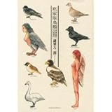 私家版鳥類図譜 (KCデラックス モーニング)
