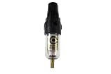 Coilhose Pneumatics MFC2 Miniature Series Integral Filter Regulator Combo, 1/4-Inch Pipe Size by Coi