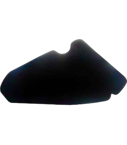 Amazon | デイトナ(Daytona) バイク用 エアフィルター レッツ2(99-06