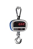 クレーンスケール 300kg　デジタル吊りはかり 電池式 (300) [並行輸入品]