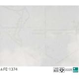 光る壁紙（蓄光）　のり無し壁紙　サンゲツ　FE-1374　92ｃｍ巾　5m巻