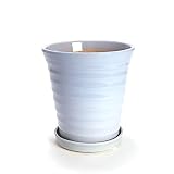 KANEYOSHI 鉢 陶器 植木鉢 フラワーロード スカイブルー 8号皿付