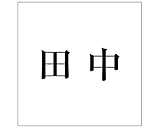 表札用名前シール 明朝体　表札用カッティングシート切文字 ﾌﾞﾗｯｸ 表札サイズ160ミリ角(160×160ﾐﾘﾀｲﾌﾟ板用) 田中