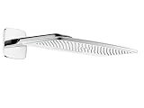 Hansgrohe(ハンスグローエ) レインダンス E420 エア壁付式オーバーヘッドシャワー・2ジェット (ハンスグローエ ジャパン公式・日本規格適合品)