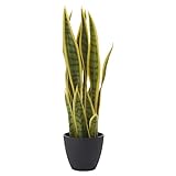 ドウシシャ 人工観葉植物 グリーン 約54.0cm サンスベリア HAC-036