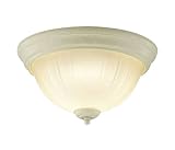 コイズミ照明 小型シーリングライト FCL30W相当 電球色 φ273 アンティークアイボリー色塗装 AH45293L