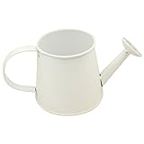 Nice Days（ナイス　ディズ）　じょうろデザイン　ミニプ植木鉢　金属植木鉢　多肉植物プランター (ホワイト)