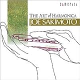 �n�[���j�J�̌|�p