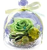 花由 プリザーブドフラワー 12星座 おうし座 緑 フラワーギフト ブリザードフラワー 誕生日プレゼント 女性 結婚祝い お祝い 花