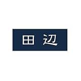 丸三タカギ 彫り込み済表札 アクリル APA1-N-1-1-田辺 【完成品】