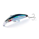 ジャクソン(Jackson) Gコントロール 20g LIW レーザーイワシ 75mm