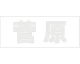 表札用名前シール 角ゴシック体　切文字 ﾊﾟｰﾙｸﾞﾚｰ 天地30ﾐﾘﾀｲﾌﾟ 菅原